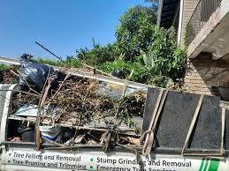 Best Same-Day Junk Removal Services  in Camden, SC